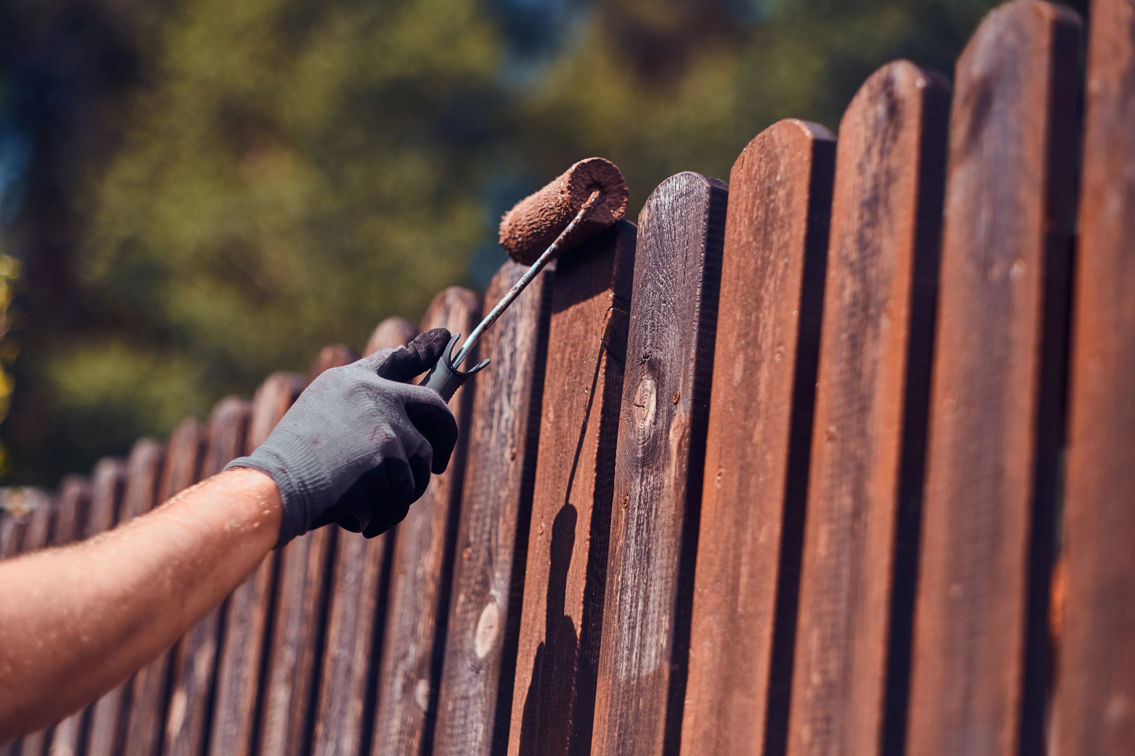 Fencing & Cleaning