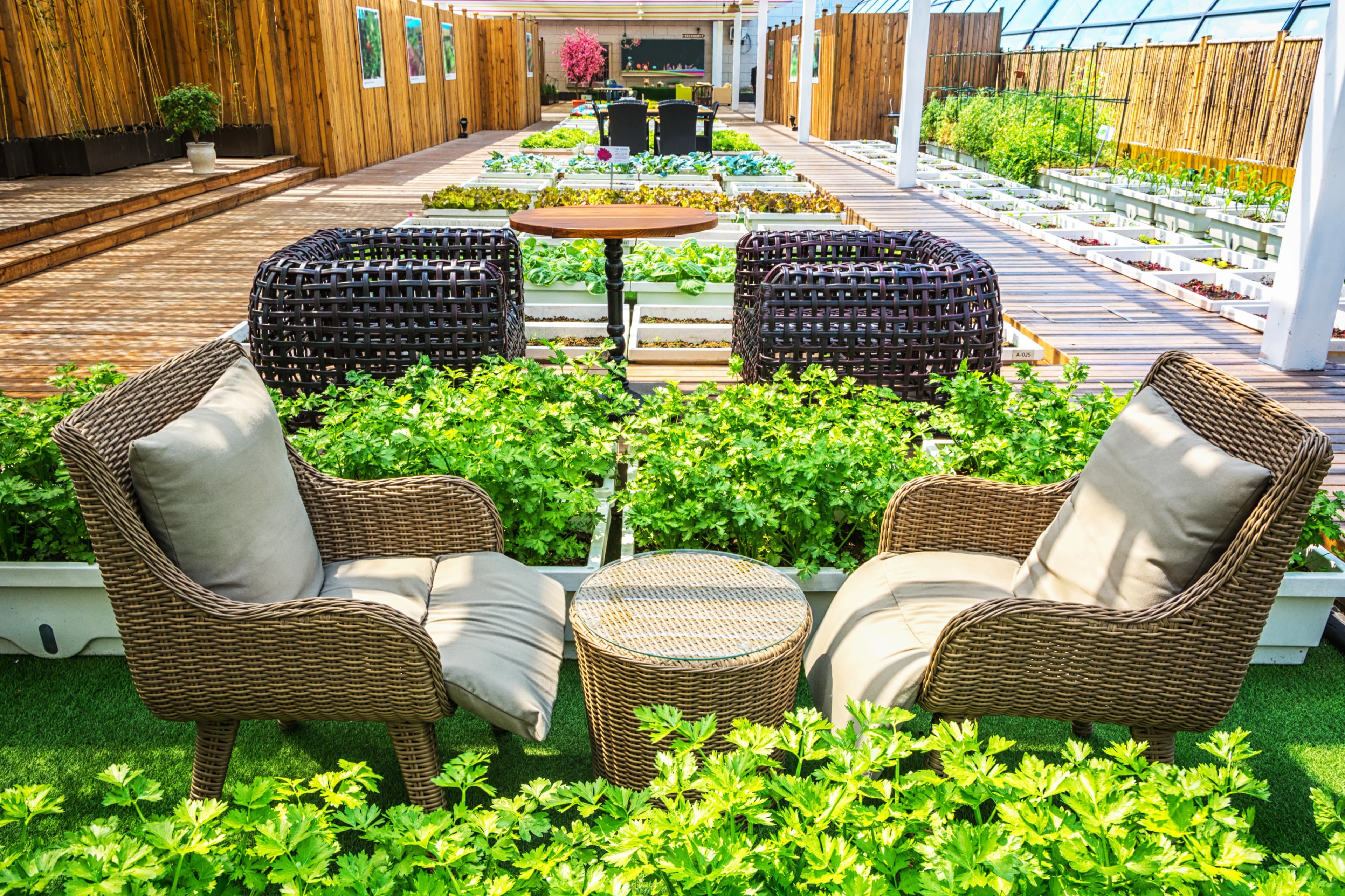 Garden Design Services in Dublin