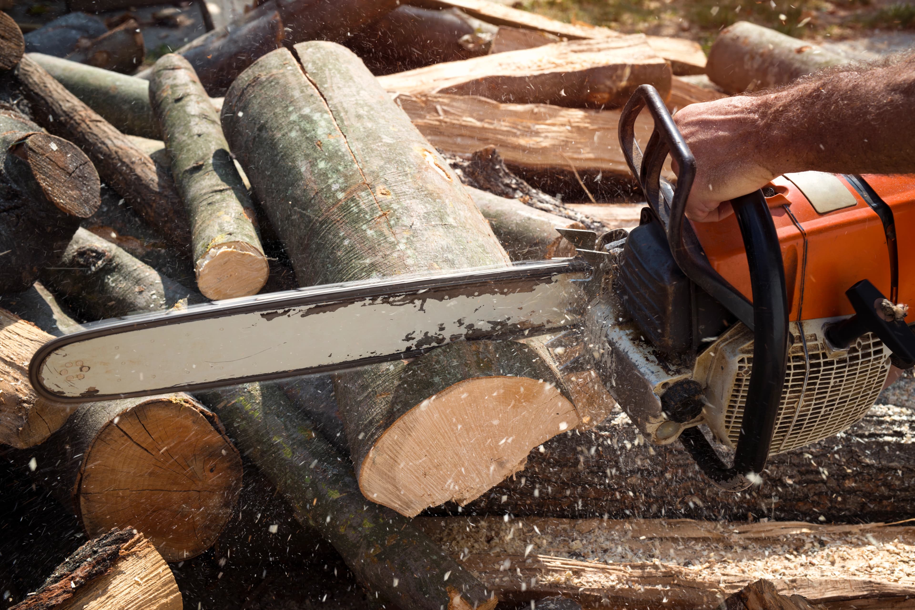 Stump Grinding Services in Dublin