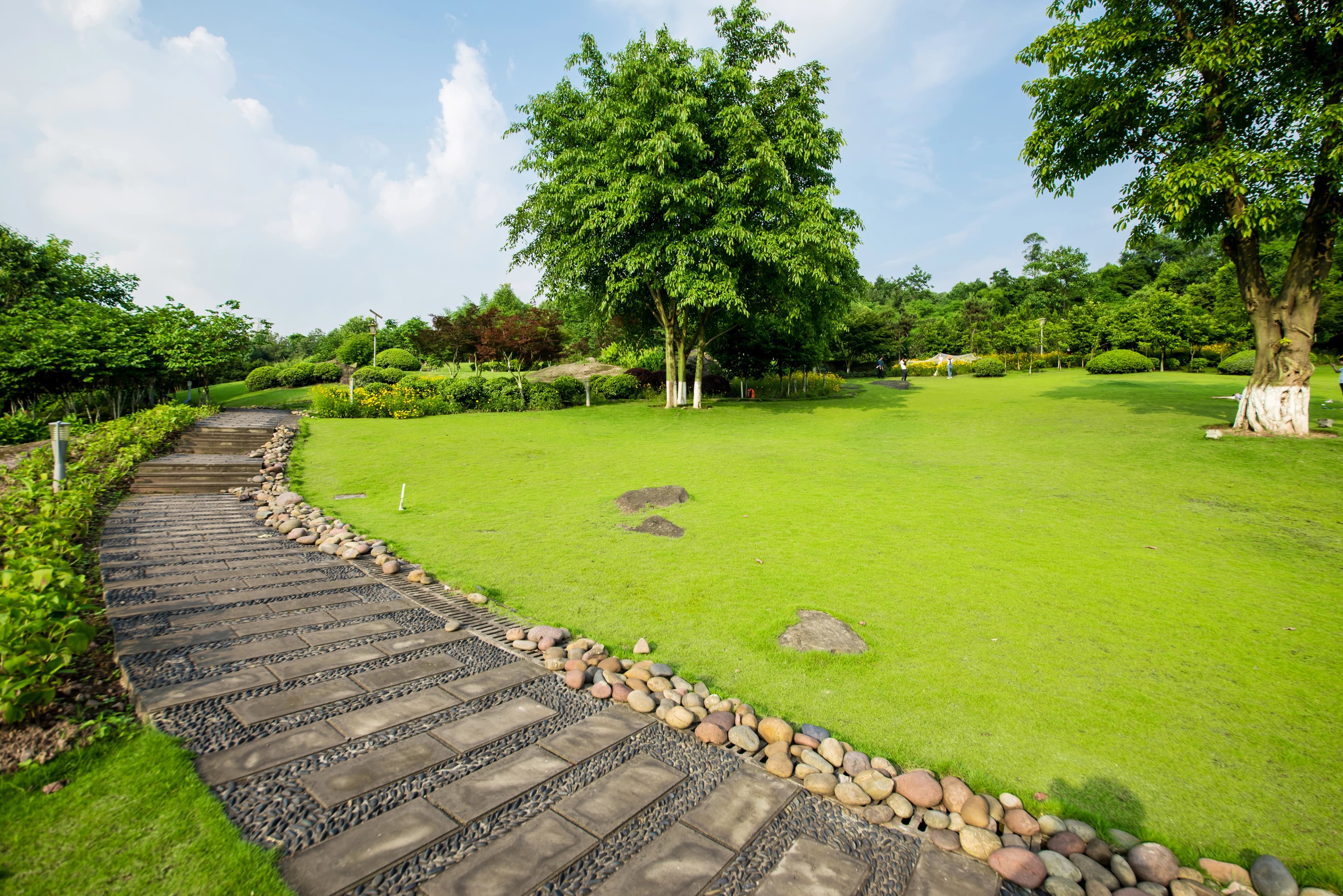 Landscaping Services in Dublin