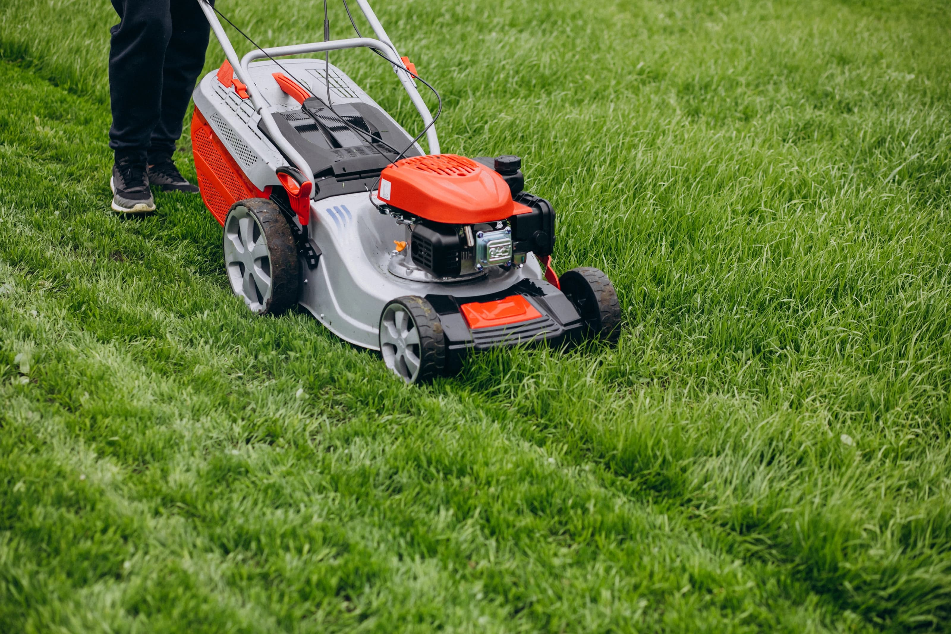Lawn Maintenance Services in Dublin