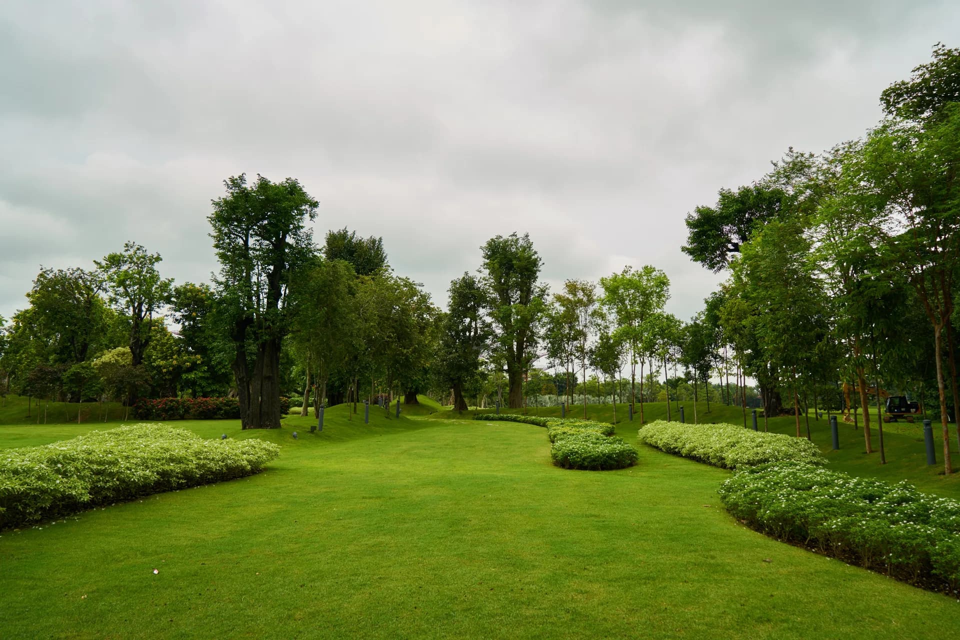 Lawn Architecture